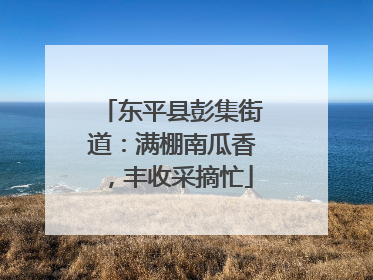 东平县彭集街道：满棚南瓜香，丰收采摘忙