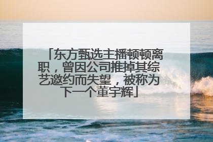 东方甄选主播顿顿离职，曾因公司推掉其综艺邀约而失望，被称为下一个董宇辉