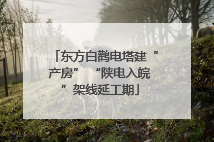东方白鹳电塔建“产房” “陕电入皖”架线延工期