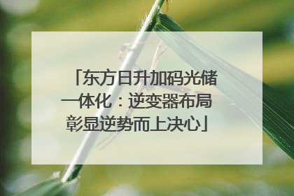 东方日升加码光储一体化：逆变器布局彰显逆势而上决心