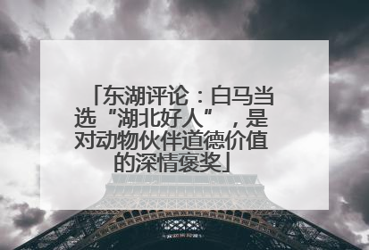 东湖评论：白马当选“湖北好人”，是对动物伙伴道德价值的深情褒奖