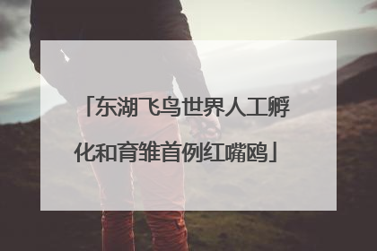 东湖飞鸟世界人工孵化和育雏首例红嘴鸥