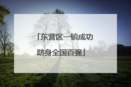东营区一镇成功跻身全国百强