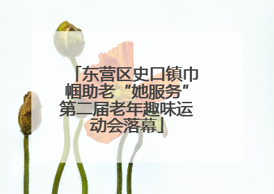 东营区史口镇巾帼助老“她服务”第二届老年趣味运动会落幕