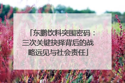 东鹏饮料突围密码：三次关键抉择背后的战略远见与社会责任