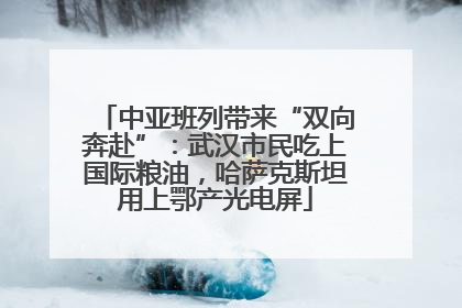 中亚班列带来“双向奔赴”：武汉市民吃上国际粮油，哈萨克斯坦用上鄂产光电屏