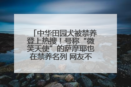 中华田园犬被禁养登上热搜！号称“微笑天使”的萨摩耶也在禁养名列 网友不解西安多部门回应