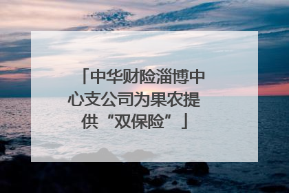 中华财险淄博中心支公司为果农提供“双保险”