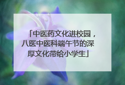 中医药文化进校园，八医中医科端午节的深厚文化带给小学生
