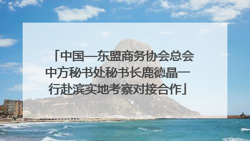 中国—东盟商务协会总会中方秘书处秘书长鹿德晶一行赴滨实地考察对接合作
