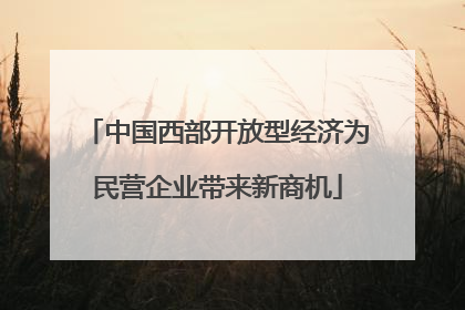 中国西部开放型经济为民营企业带来新商机