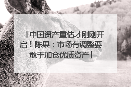 中国资产重估才刚刚开启！陈果：市场有调整要敢于加仓优质资产