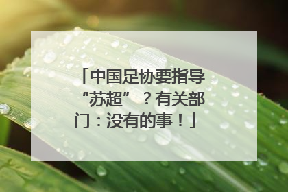 中国足协要指导“苏超”？有关部门：没有的事！