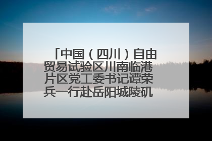 中国（四川）自由贸易试验区川南临港片区党工委书记谭荣兵一行赴岳阳城陵矶综保区考察