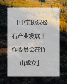 中宝协绿松石产业发展工作委员会在竹山成立