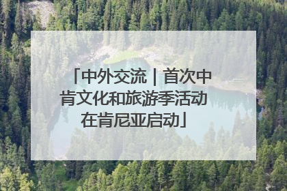 中外交流｜首次中肯文化和旅游季活动在肯尼亚启动