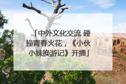 中外文化交流 碰撞青春火花，《小伙小妹换游记》开播