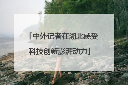 中外记者在湖北感受科技创新澎湃动力