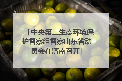 中央第三生态环境保护督察组督察山东省动员会在济南召开