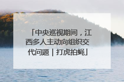 中央巡视期间，江西多人主动向组织交代问题｜打虎拍蝇
