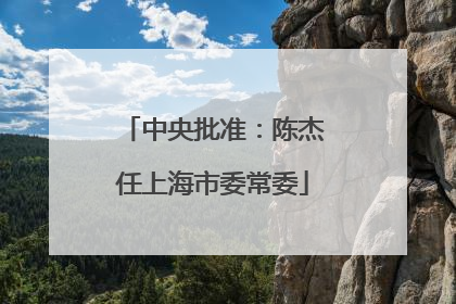 中央批准：陈杰任上海市委常委