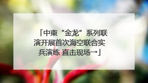 中柬“金龙”系列联演开展首次海空联合实兵演练 直击现场→