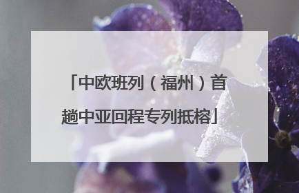 中欧班列（福州）首趟中亚回程专列抵榕