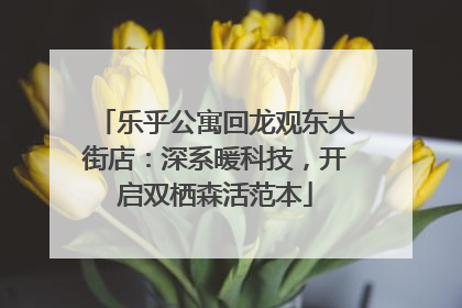 乐乎公寓回龙观东大街店：深系暖科技，开启双栖森活范本