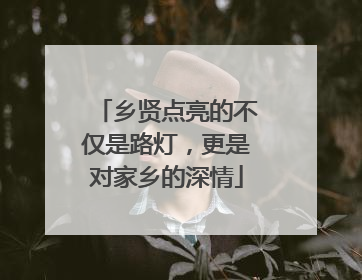 乡贤点亮的不仅是路灯，更是对家乡的深情