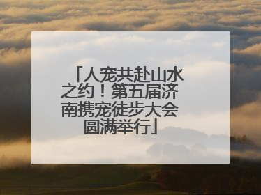 人宠共赴山水之约！第五届济南携宠徒步大会圆满举行