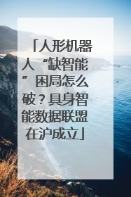人形机器人“缺智能”困局怎么破？具身智能数据联盟在沪成立