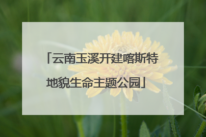 云南玉溪开建喀斯特地貌生命主题公园
