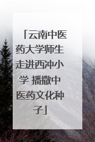 云南中医药大学师生走进西冲小学 播撒中医药文化种子