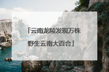 云南龙陵发现万株野生云南大百合