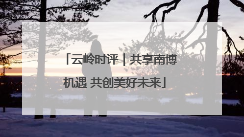 云岭时评｜共享南博机遇 共创美好未来