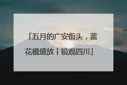 五月的广安街头，蓝花楹盛放丨镜观四川