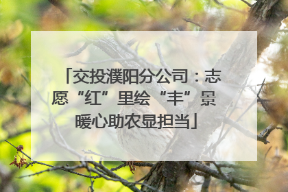 交投濮阳分公司：志愿“红”里绘“丰”景 暖心助农显担当