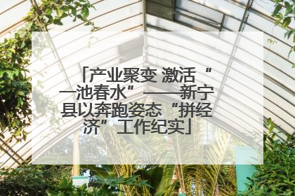 产业聚变 激活“一池春水”——新宁县以奔跑姿态“拼经济”工作纪实