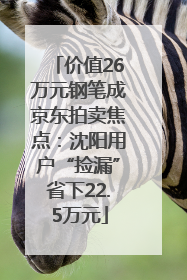 价值26万元钢笔成京东拍卖焦点：沈阳用户“捡漏”省下22.5万元