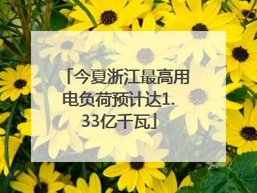 今夏浙江最高用电负荷预计达1.33亿千瓦