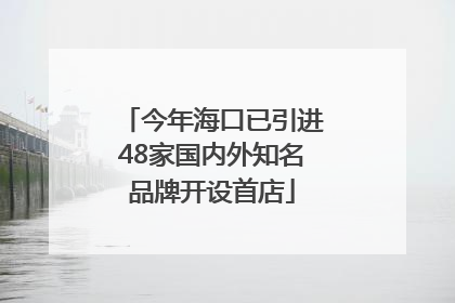 今年海口已引进48家国内外知名品牌开设首店