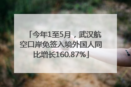 今年1至5月，武汉航空口岸免签入境外国人同比增长160.87%