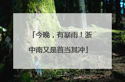 今晚，有暴雨！浙中南又是首当其冲