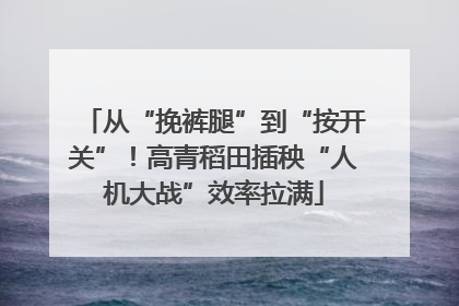 从“挽裤腿”到“按开关”！高青稻田插秧“人机大战”效率拉满