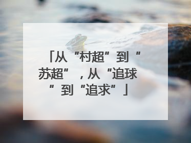 从“村超”到“苏超”，从“追球”到“追求”