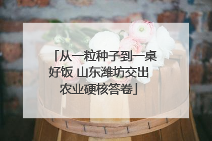 从一粒种子到一桌好饭 山东潍坊交出农业硬核答卷