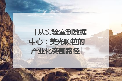从实验室到数据中心：美光颗粒的产业化突围路径