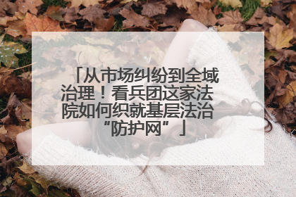 从市场纠纷到全域治理！看兵团这家法院如何织就基层法治 “防护网”