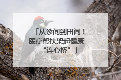 从诊间到田间！医疗帮扶架起健康“连心桥”