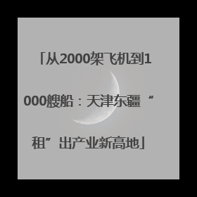 从2000架飞机到1000艘船：天津东疆“租”出产业新高地